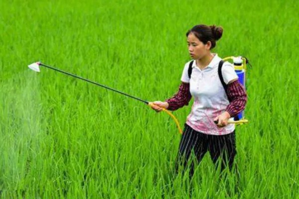 生物农药的施用注意事项,主要有以下四看