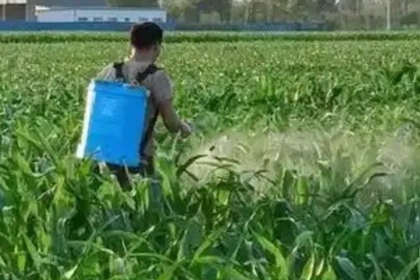 生物农药的施用注意事项,主要有以下四看
