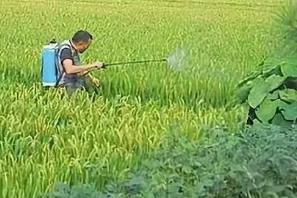 生物农药的施用注意事项,主要有以下四看