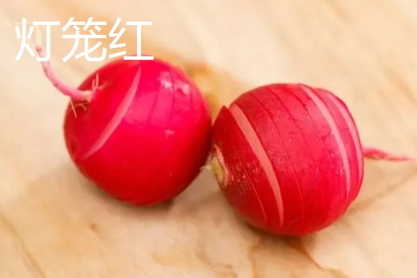 秋萝卜如何种植，播种前应精选种子