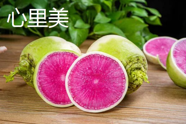 秋萝卜如何种植，播种前应精选种子