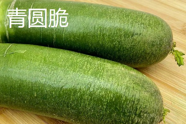 秋萝卜如何种植，播种前应精选种子