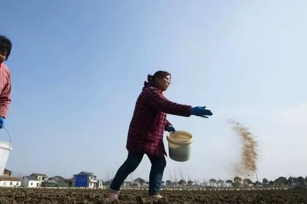 肥料施后长时间不溶解原因,可能是质量问题所致