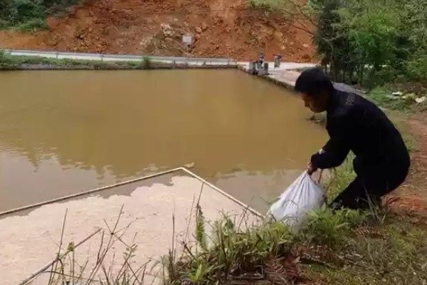 怎样养龙虾,一定要确保充足的水源