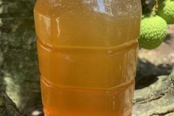 荔枝蜜是哪种蜜,是采集荔枝花蜜酿制而成的