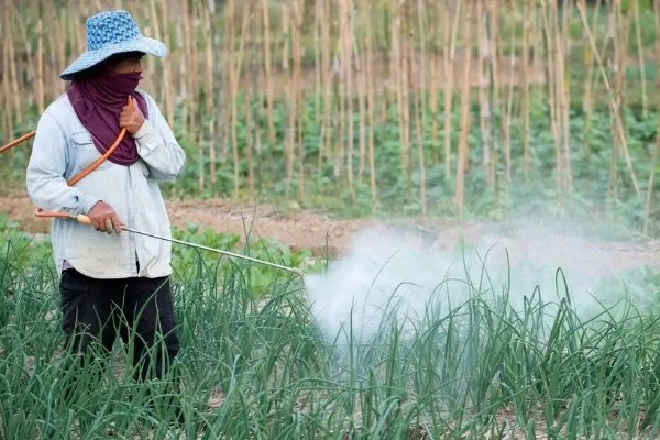 秋季大葱病虫如何防治，不同病害的防治方法不同