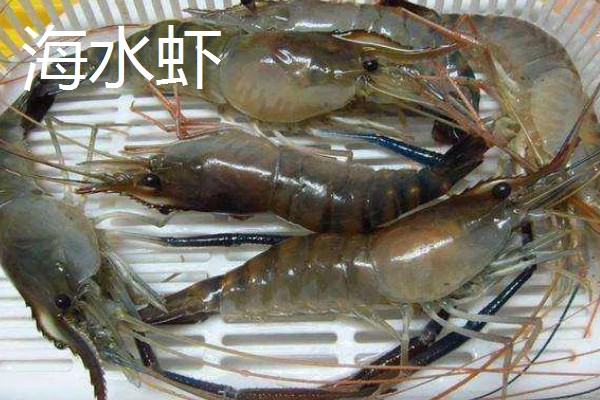 淡水虾养殖需要的条件，池水PH值控制在7-8