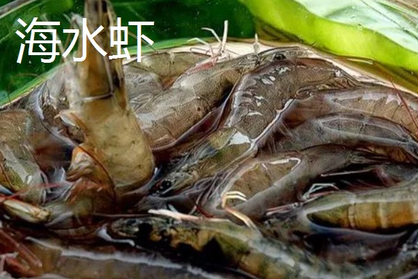 淡水虾养殖需要的条件，池水PH值控制在7-8