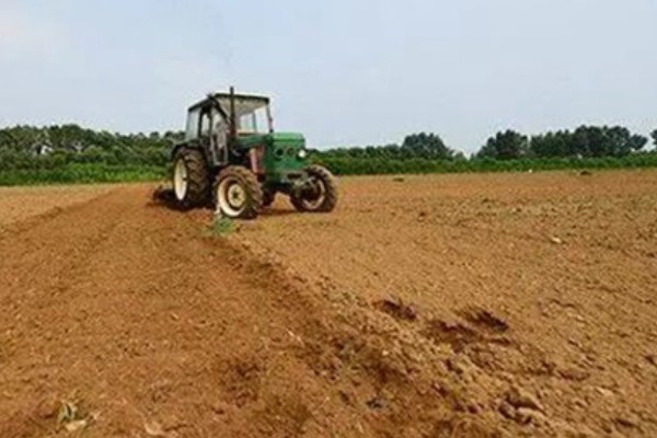 花生怎么种,催芽的花生放入坑中后适当施点肥料