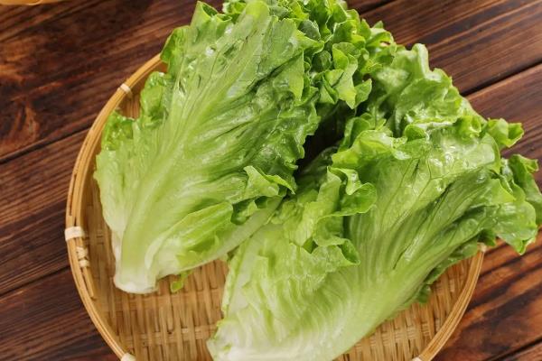 哪些蔬菜可在11月份种植,有丝瓜、南瓜等品种可供选择