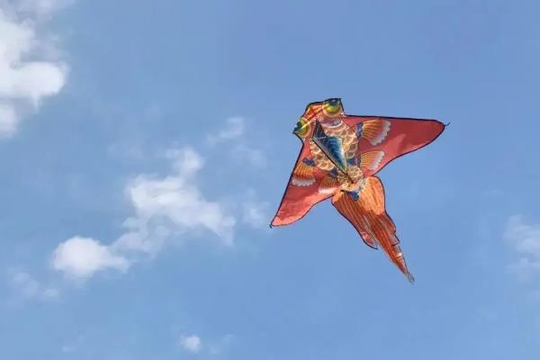 清明节的习俗,有踏青、植树等活动