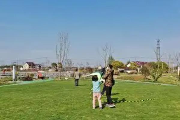清明节的习俗,有踏青、植树等活动