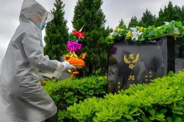 清明节的习俗,有踏青、植树等活动