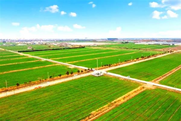 高标准农田建设项目定义，是将建设高标准基本农田作为目标