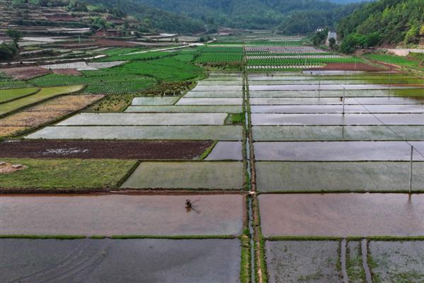 高标准农田建设项目定义，是将建设高标准基本农田作为目标