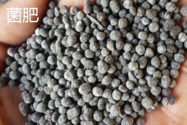 菌剂与菌肥的区别，成分和使用量均不同