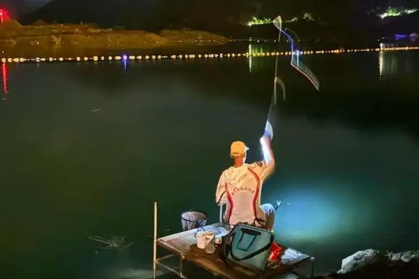 浅水用七星漂还是立漂好,水过浅时一般不建议用立漂