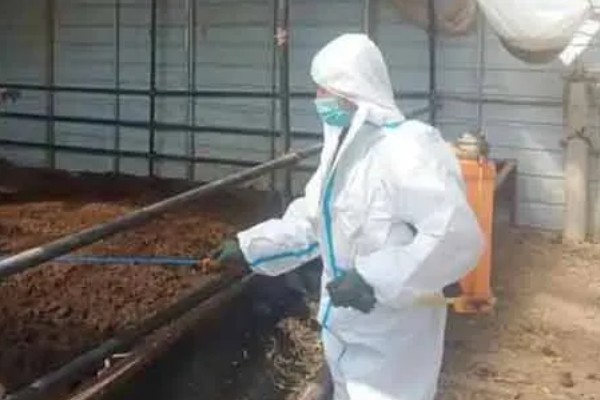 小反刍兽疫的症状，病羊精神暴躁、毛发黯淡无光
