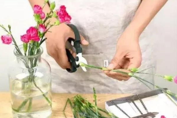 妈妈生日可以送哪些花，推荐康乃馨、百合花等
