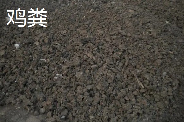 粪肥和尿素属于哪种肥料,属于有机肥料
