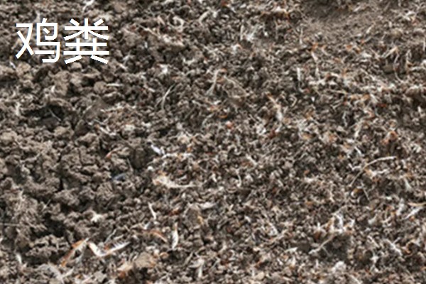 粪肥和尿素属于哪种肥料,属于有机肥料