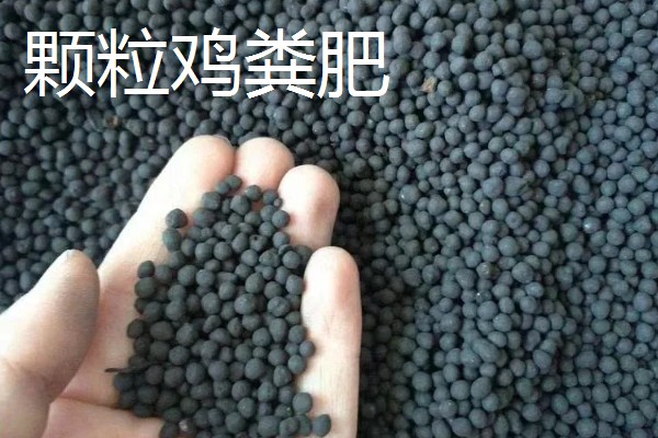 粪肥和尿素属于哪种肥料,属于有机肥料