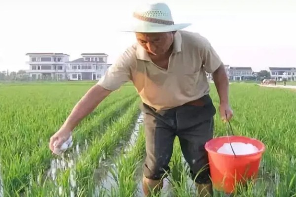 粪肥和尿素属于哪种肥料,属于有机肥料