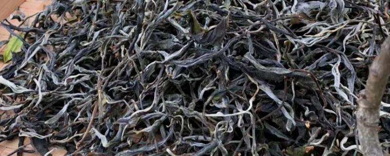 普洱是什么茶，属于黑茶中的一个品种