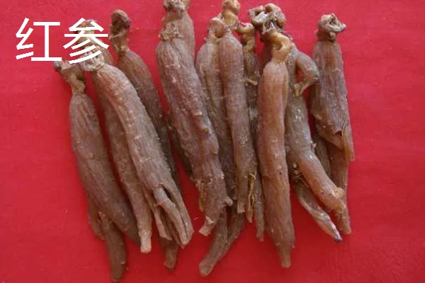 高丽参与红参的区别,产地和性状均不同