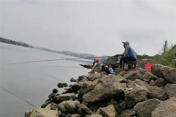 什么是主线,指竿稍到八字环这一段鱼线
