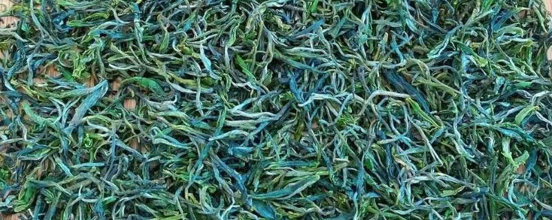 庐山云雾是不是绿茶,是绿茶
