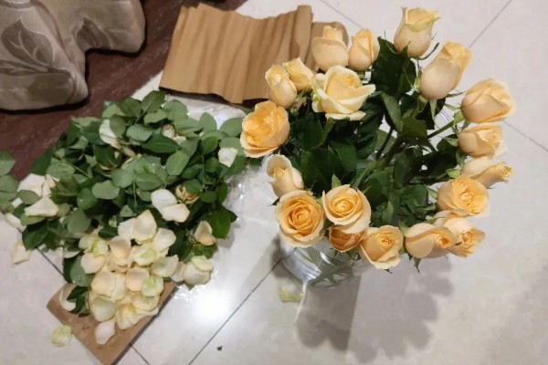 香槟玫瑰的花语,寓意我只钟情于你一人