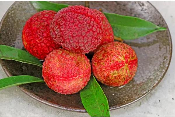糯米糍荔枝名字的由来,味道类似于吃甜糯米