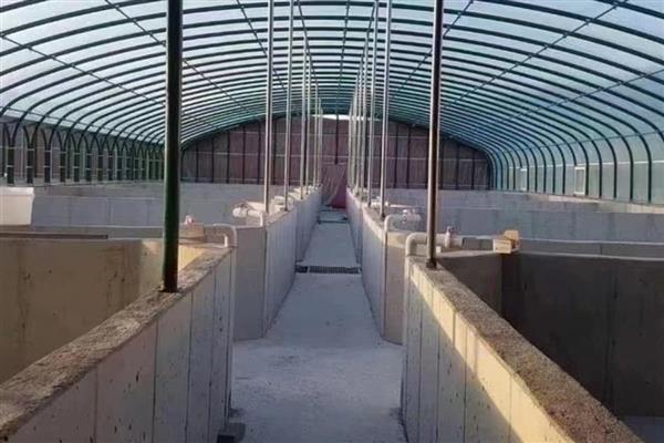 大棚猪舍的建造成本,70平方米需要5000元左右