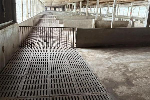 大棚猪舍的建造成本,70平方米需要5000元左右