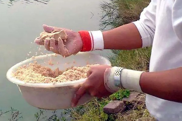 钓淡水鲈鱼需要打窝吗，并不是一定要打窝