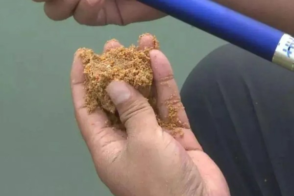 钓淡水鲈鱼需要打窝吗，并不是一定要打窝