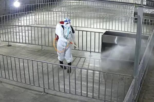 发生蓝耳病怎么对猪圈消毒,用火焰喷枪对墙面和地面进行高温处理