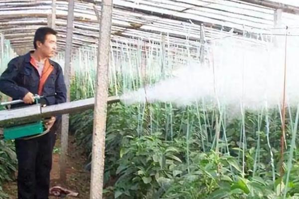 防治黄瓜霜霉病的方法,要避免田间出现积水