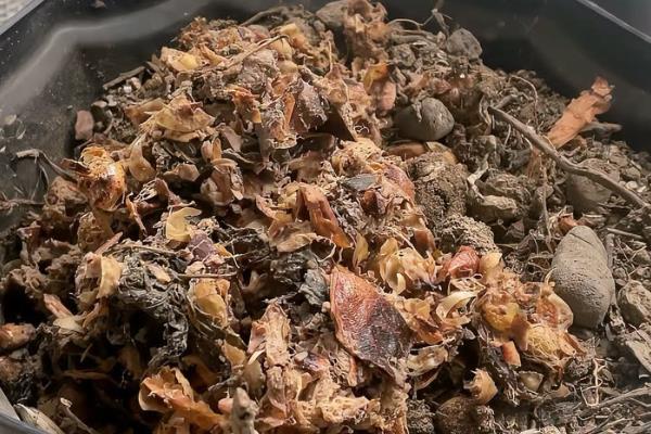 怎么用红砖制做多肉的铺面石，敲碎经过筛选后再消毒