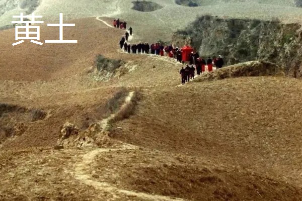 黄土能不能种菜，黄土可以种菜