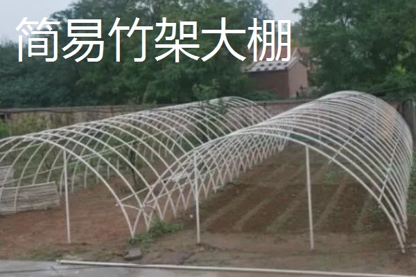 大棚选哪种类型比较好,推荐简易竹架大棚、钢竹混合大棚等