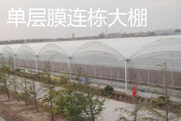 大棚选哪种类型比较好,推荐简易竹架大棚、钢竹混合大棚等