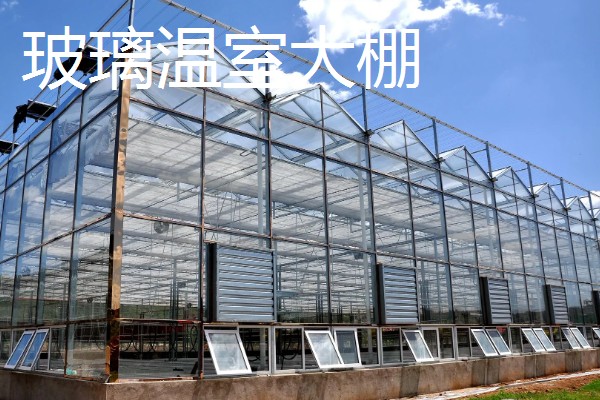 大棚选哪种类型比较好,推荐简易竹架大棚、钢竹混合大棚等