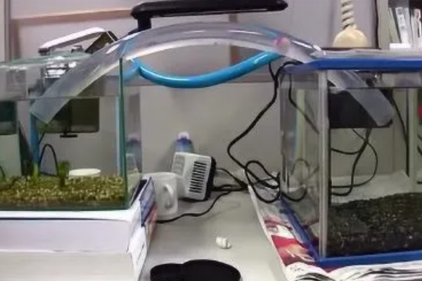 鱼缸最下层的沉淀物如何清理，可以在换水的时候进行清理