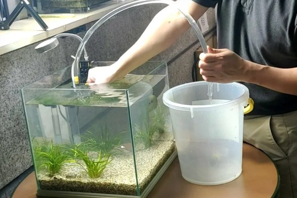鱼缸最下层的沉淀物如何清理，可以在换水的时候进行清理