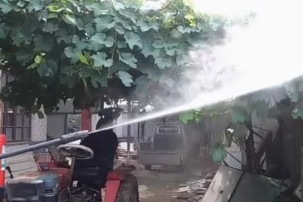 葡萄叶子黄了怎么处理,不同原因的处理方法不同