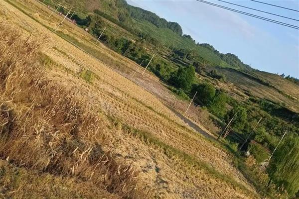 养殖场的拆迁补偿标准,土地补偿费在平均年产值的6-10倍