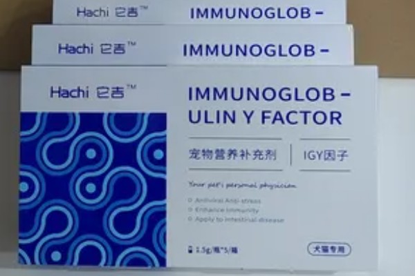 犬猫乳房炎的症状,急性乳房炎会出现乳房潮红、肿胀等问题
