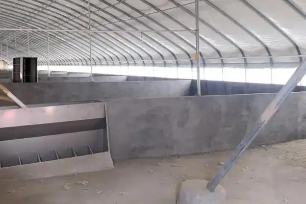 猪粮比的含义,猪粮比是指生猪价格与玉米价格的比值